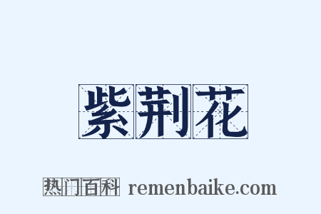 紫荆花是什么意思的图片